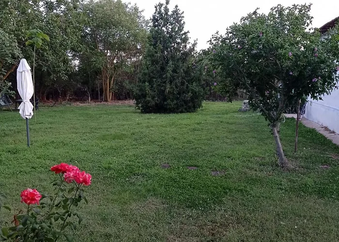 'anna' * Krapets (Dobrich)